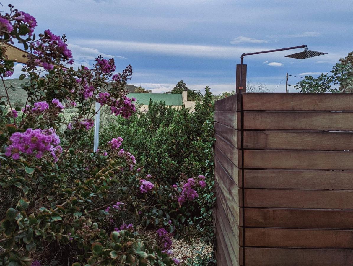 The Bean Tree Hotel McGregor Exterior foto